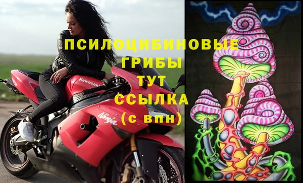 стаф Козельск