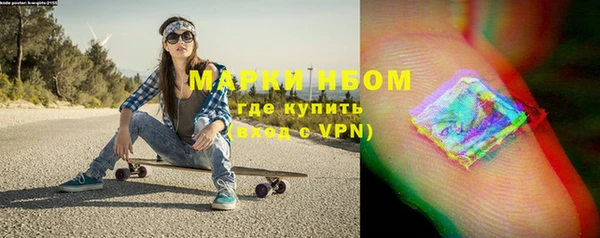 стаф Козельск