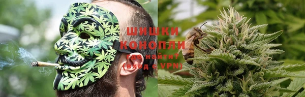 стаф Козельск