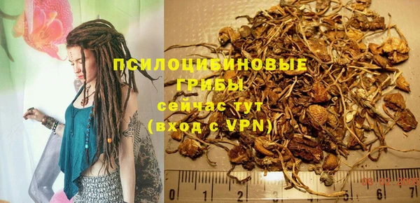 стаф Козельск
