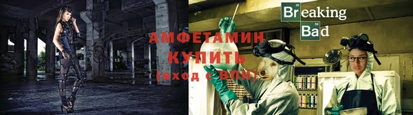 стаф Козельск