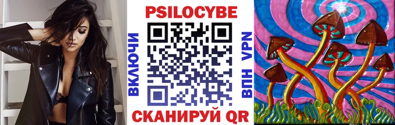 Купить закладки  Балашов  Галлюциногенные грибы MAGIC MUSHROOMS 